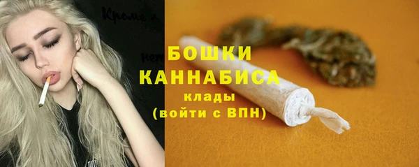 мдпв Лагань