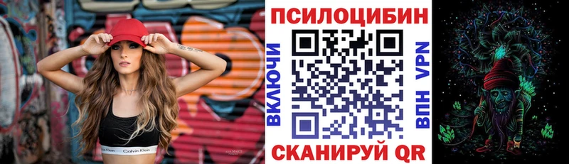 это как зайти  Новороссийск  Галлюциногенные грибы мухоморы  где купить наркоту 