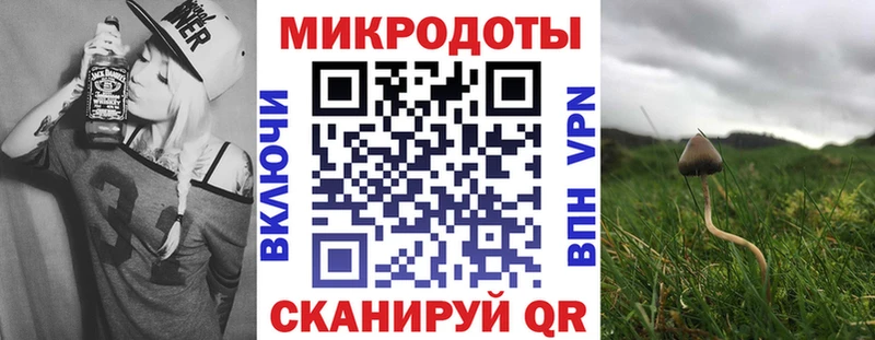 Галлюциногенные грибы ЛСД Новороссийск