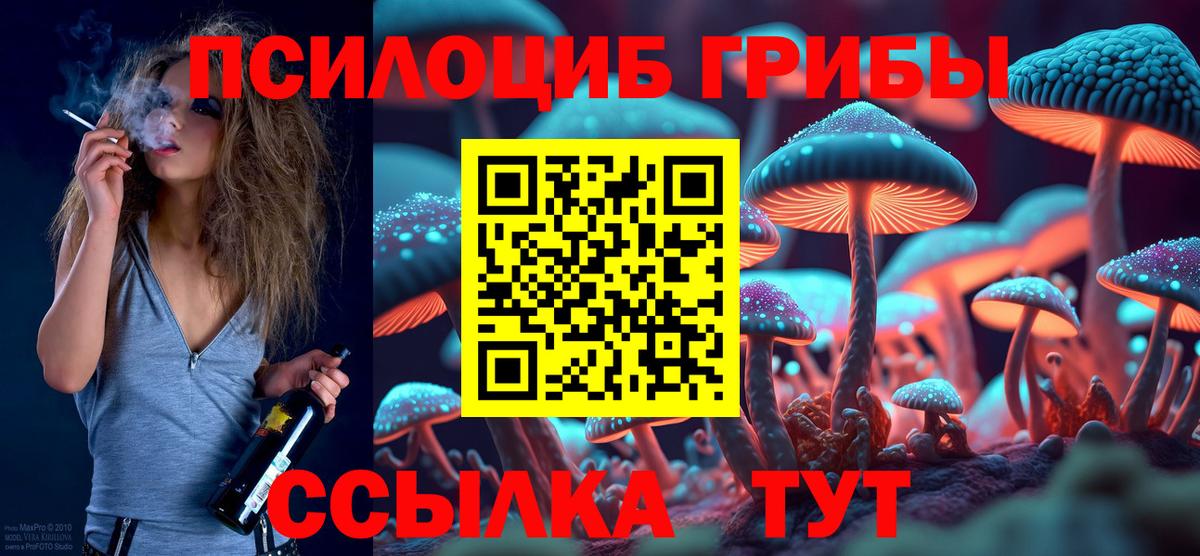 Псилоцибиновые грибы Cubensis Новороссийск